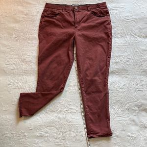 Women's Wit & Wisdom Brown Jeans